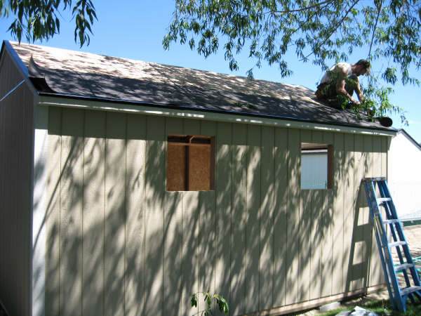 building_a_shed_009.jpg